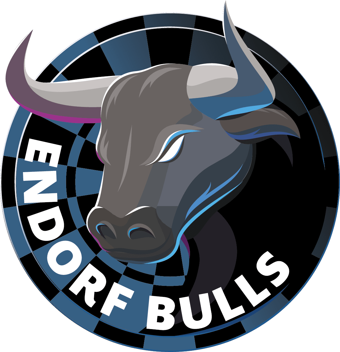 Endorf Bulls – Bild 1