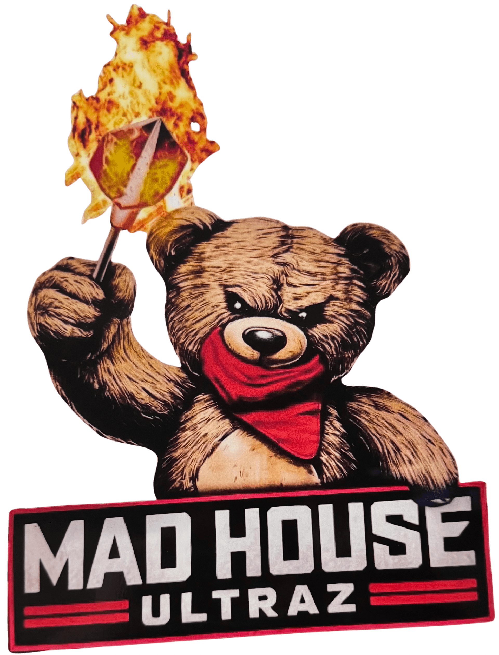 Mad House Ultraz (Sparte Risby UF) – Bild 1