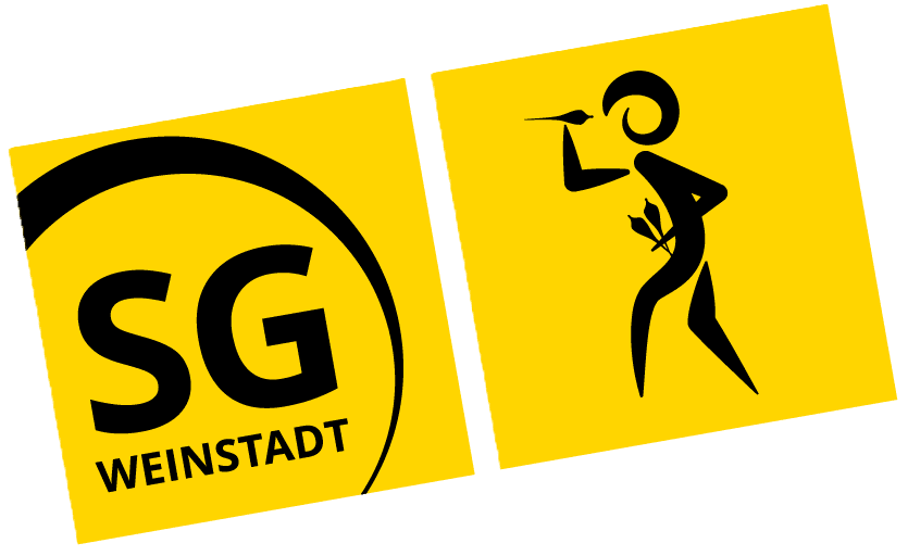 SG Weinstadt Darts