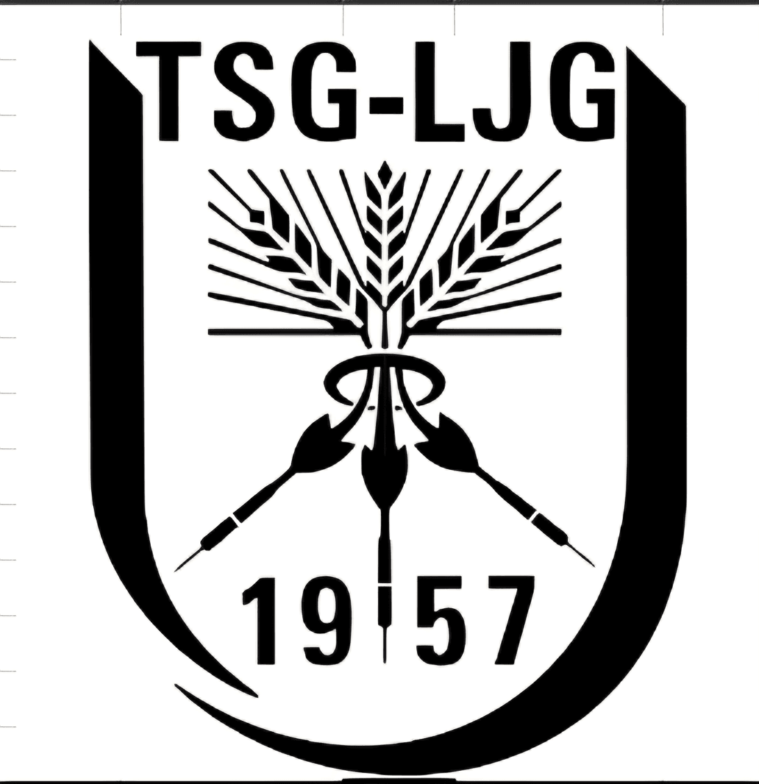 TSG-LJG Unterschwarzach Abteilung Dart – Bild 1
