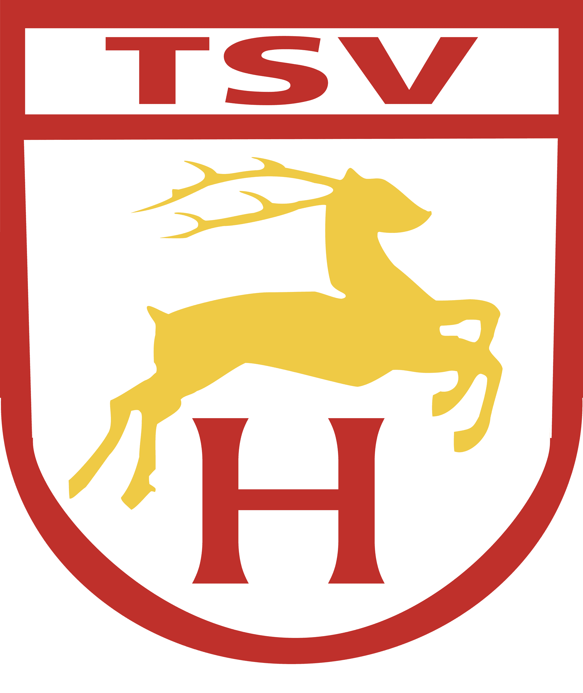 TSV Hirschau e.V. – Bild 1